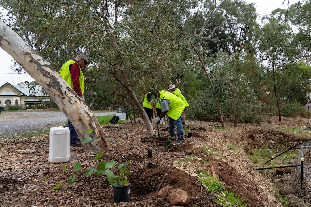 The Gums Landcare Group with volunteers planting new shrubs to help look after the creek