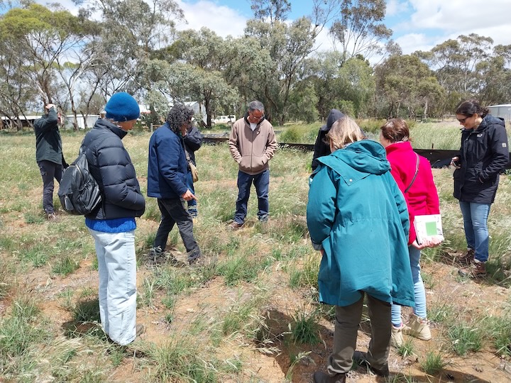 Group of members observing bush