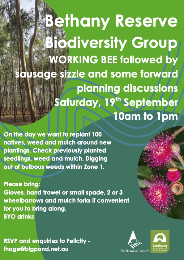 Featured image for “Bethany Reserve Biodiversity Group – Working Bee”