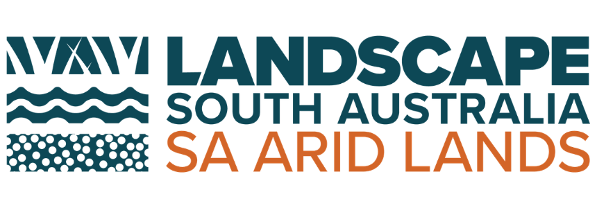 Landscape South Australia SA Arid Lands